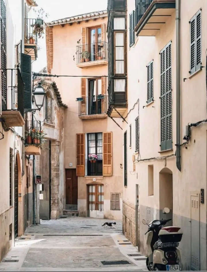 Centro Budista Camino del Diamante — meditación-studio en Palma — 5