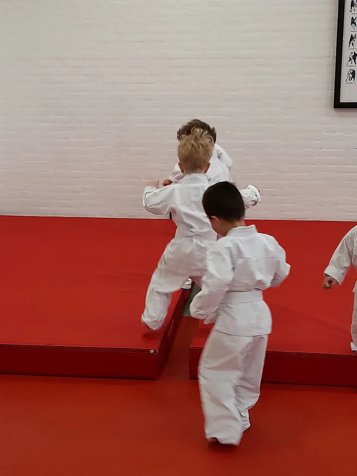 Judoschool Kradolfer — vechtsport-studio in 's-Hertogenbosch — 4