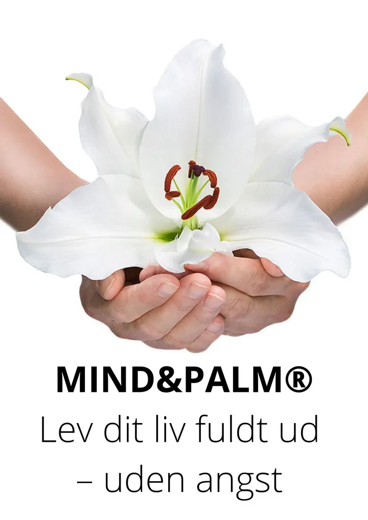 MIND&PALM by Lisbeth Storm — Meditation i Sydvestkvarteret, Kolding