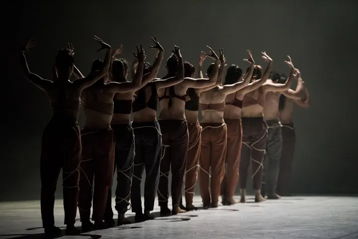 Nuovo Balletto Classico — danza-studio a Mancasale, Reggio Emilia — 2