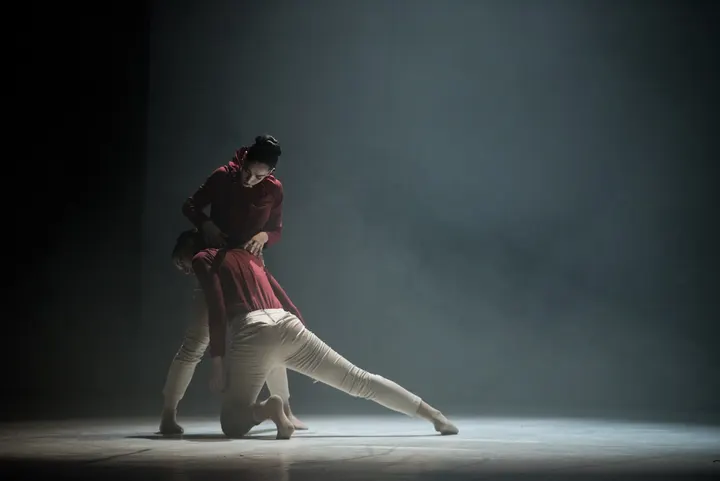Nuovo Balletto Classico — danza-studio a Mancasale, Reggio Emilia — 3