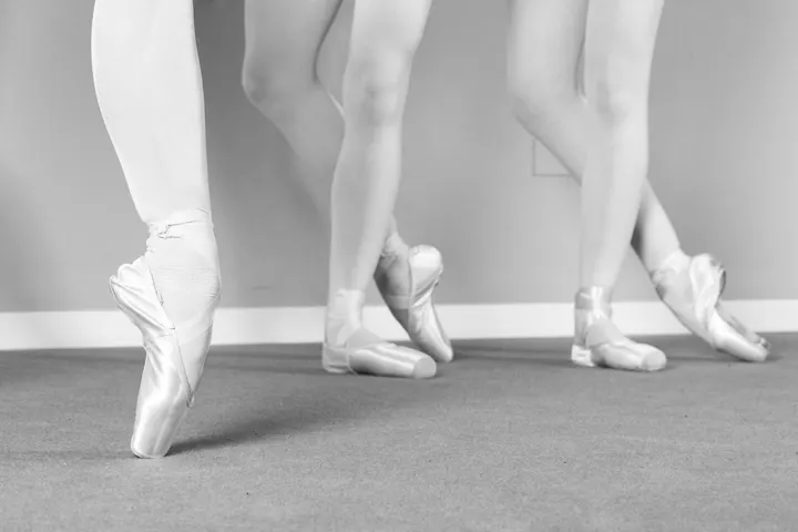 Nuovo Balletto Classico — danza-studio a Reggio Emilia — 4