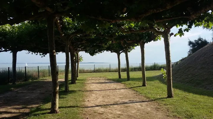 Top Yoga Royan — Salle de fitness au Pigeonnier, Royan