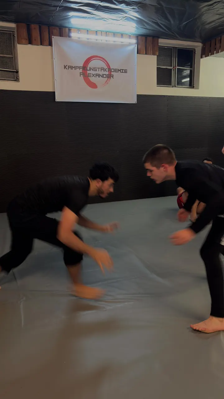 Kampfkunstakademie Alexander — bjj-studio in Ludwigshafen-Rheingönheim, Ludwigshafen am Rhein — 2