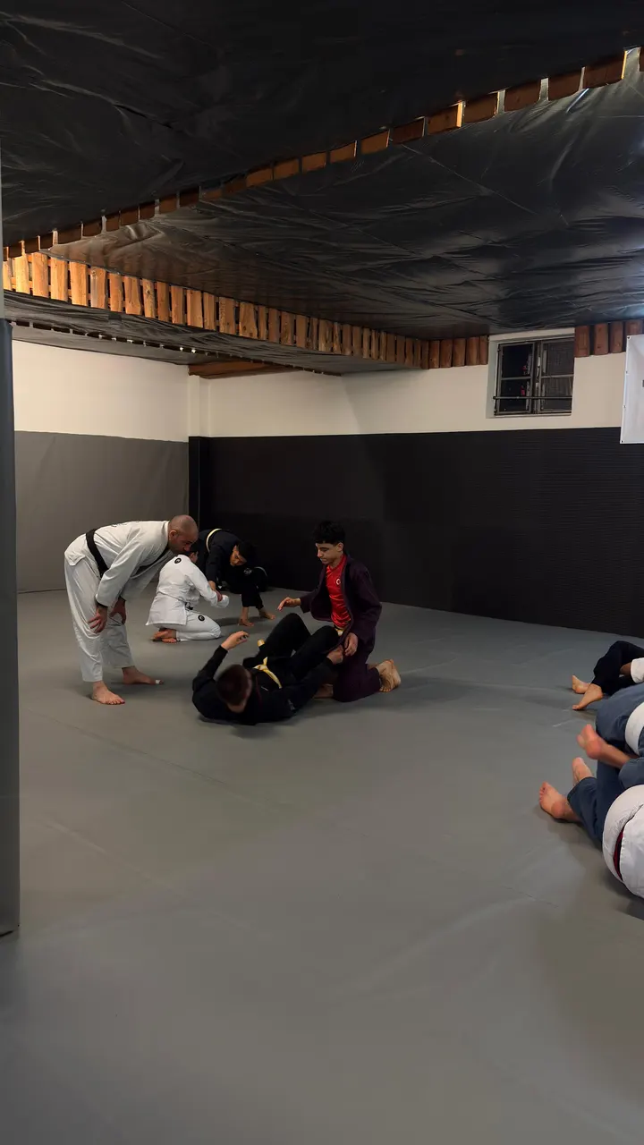 Kampfkunstakademie Alexander — bjj-studio in Ludwigshafen am Rhein — 3