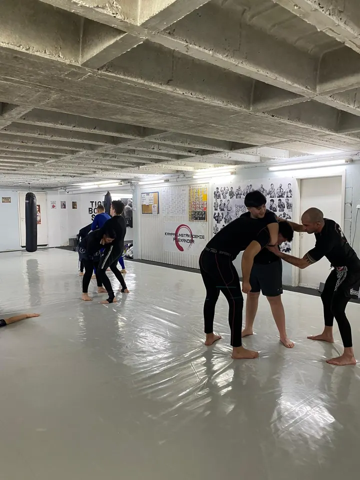 Kampfkunstakademie Alexander — bjj-studio in Ludwigshafen am Rhein — 4