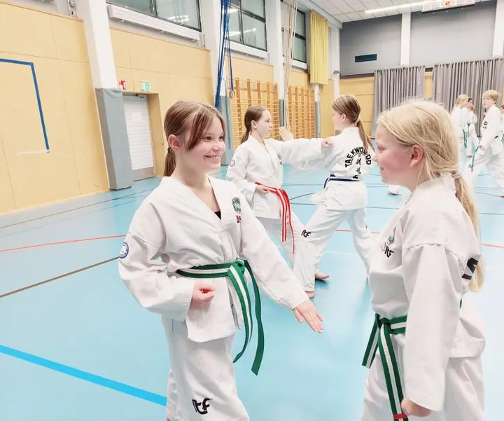 Sirius Taekwon-Do — kamppailulajit-studio – Espoo, Helsinki — 2