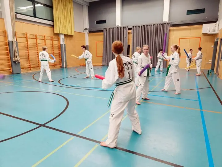 Sirius Taekwon-Do — kamppailulajit-studio – Espoo, Helsinki — 3