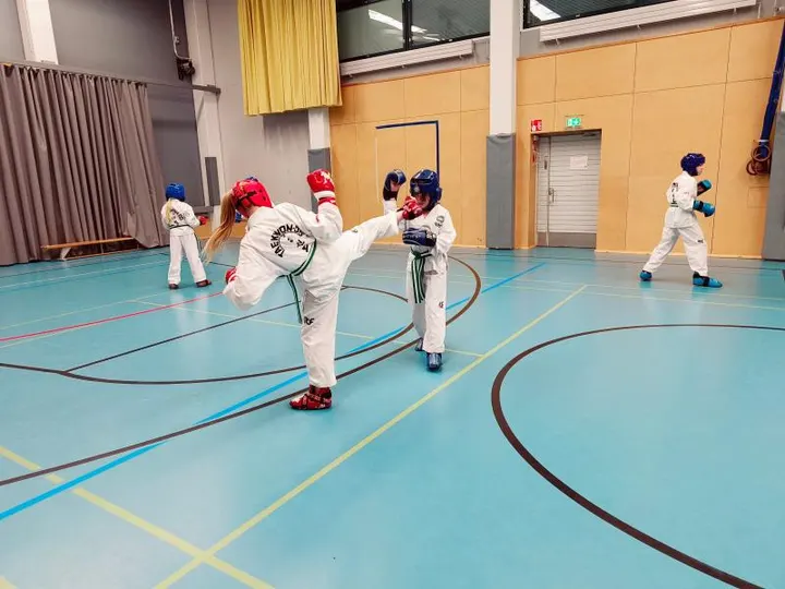Sirius Taekwon-Do — kamppailulajit-studio – Helsinki — 3