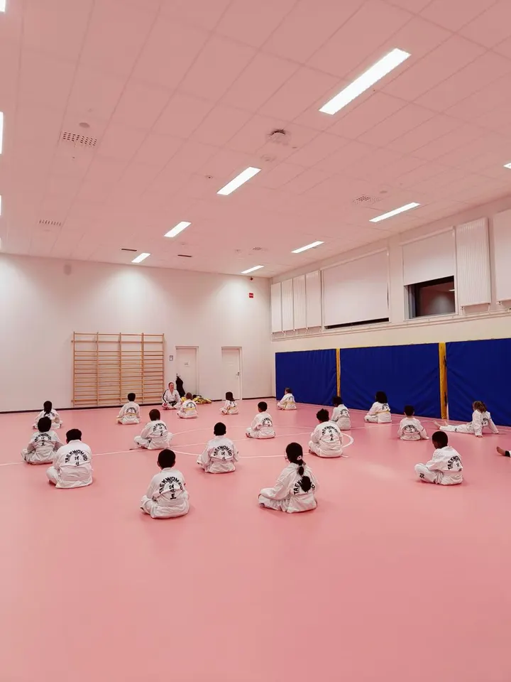 Sirius Taekwon-Do — kamppailulajit-studio – Helsinki — 4