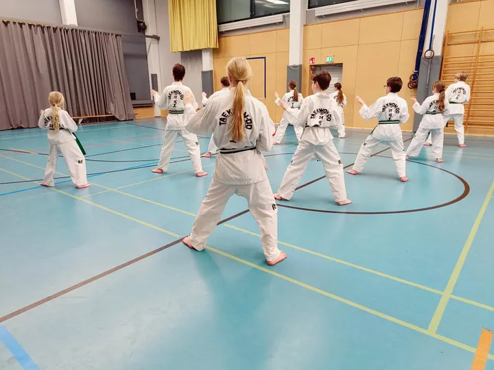 Sirius Taekwon-Do — martial arts-studio i Hagalund, Espoo