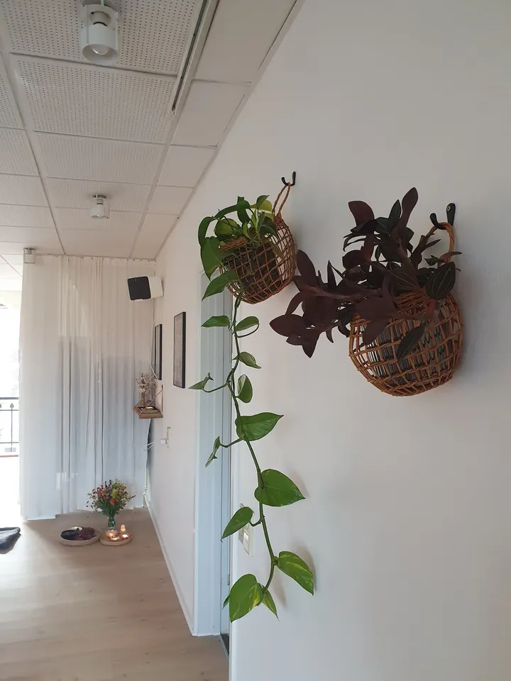 Anna Bolette Yoga — yoga-studio i Holbæk — 3