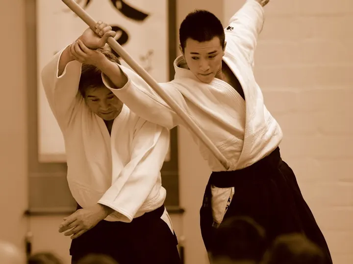 Vejle Aikido DGI Huset Vejle — Kampsport i Uhrhøj, Vejle