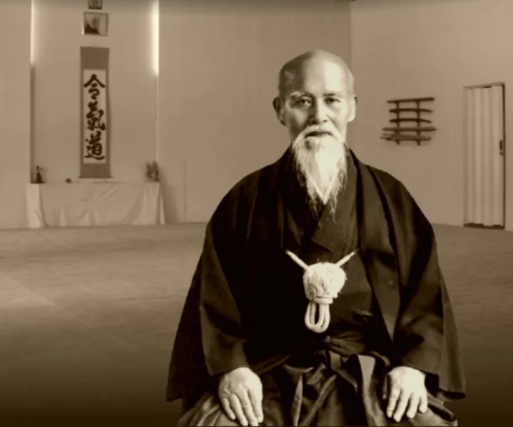 Vejle Aikido DGI Huset Vejle — kampsport-studio i Uhre, Vejle — 2