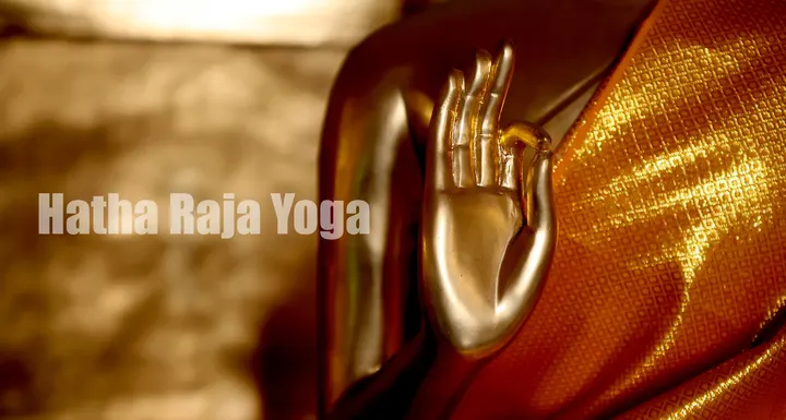 Yoga Mi Yoga — Meditazione a Vanchiglia, Torino