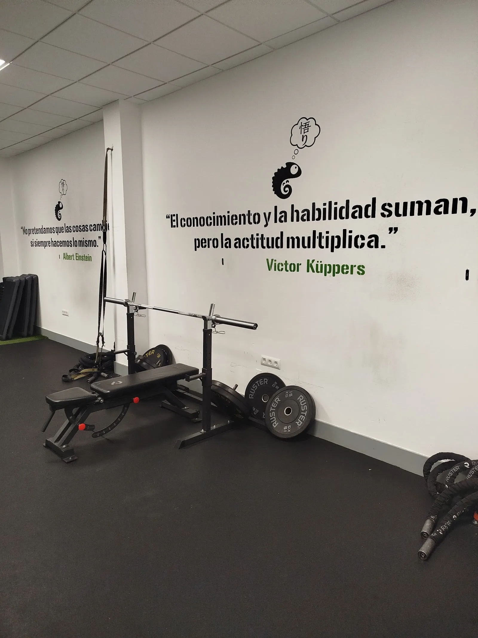 i10 Entrenador Personal - San Juan — entrenamiento personal-studio en Pardaleras, Badajoz — 3