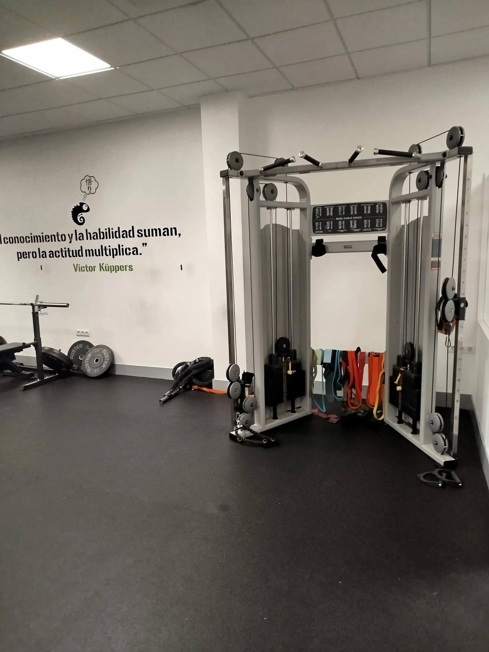 i10 Entrenador Personal - San Juan — entrenamiento personal-studio en Badajoz — 3