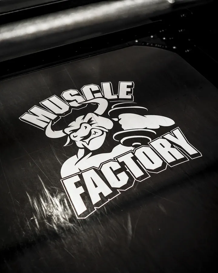 Muscle Factory Coesfeld — Fitnessstudio in Coesfeld