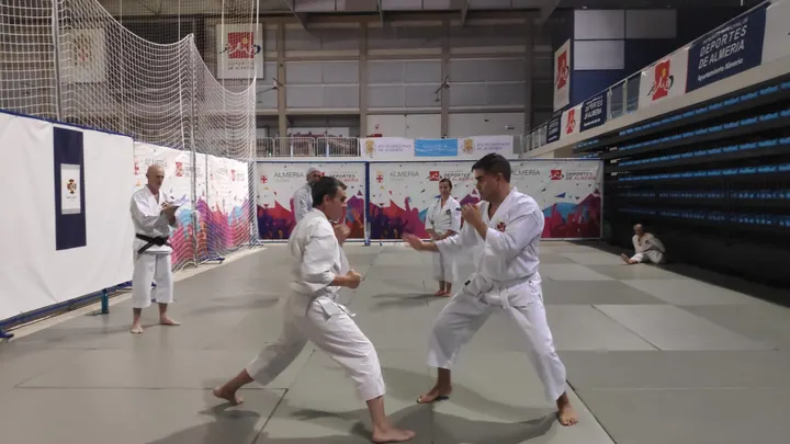 Shorinji Kempo Almeria — artes marciales-studio en Almería — 5