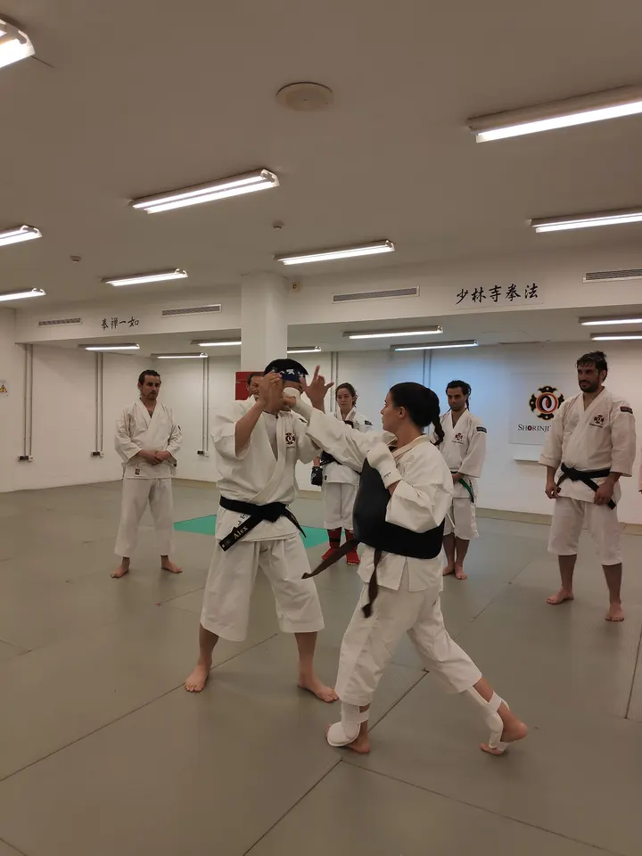 Shorinji Kempo Almeria — Artes marciales en El Bobar, Almería