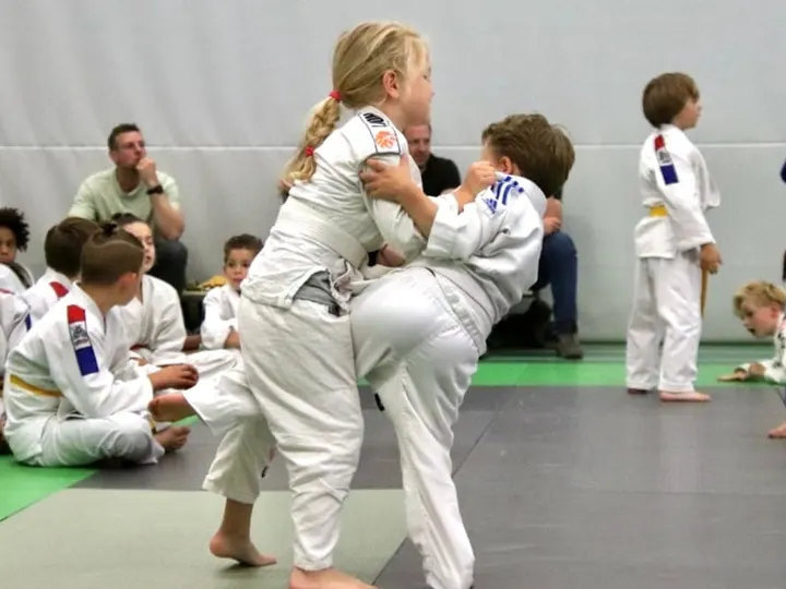 Judo Ryu Rietdijk - Haarlem — vechtsport-studio in Delftwijk, Haarlem — 3