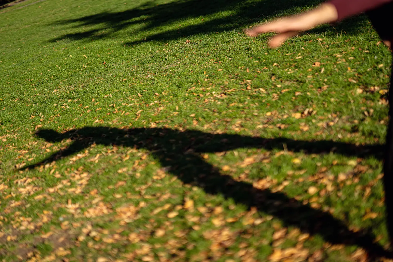 Ki Yoga & Thai Massage — yoga-studio i Berlin — 3