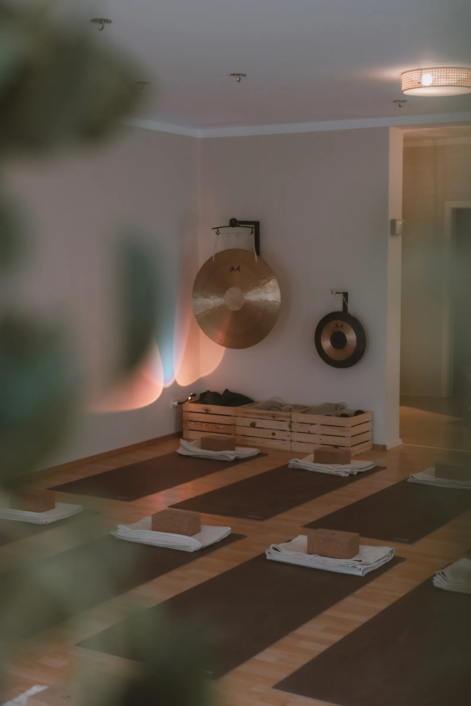 Leipzig Yoga Collective — yoga-studio i Leipzig — 3