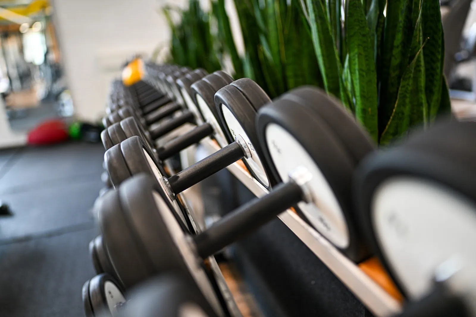 Vitadrom Fitness- und Gesundheitszentrum — fitnessstudio in Stuttgart — 3