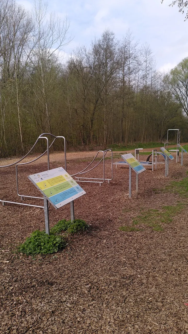 Calisthenics Park — calisthenics-studio in Innenstadt-West, Dortmund — 3