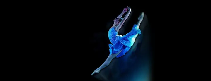 Danse Classique Académie — danse-studio à Villeurbanne — 4