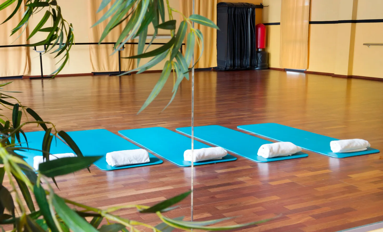 Wellness-Park-Siegburg — recovery-studio in Siegburg-Wolsdorf — 5
