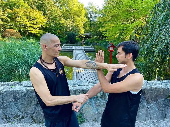 Tao Chan Wing Chun Schule Ingolstadt — kampfsport-studio in Altstadt Südwest, Ingolstadt — 2