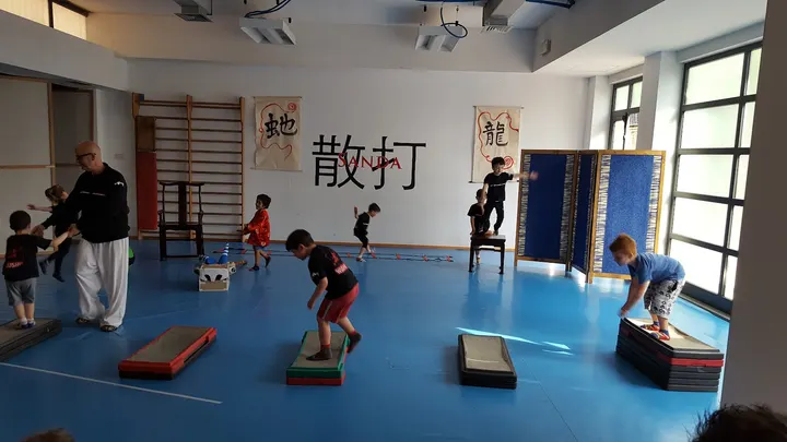 Istituto di Wu - Shu della Città di Firenze — Arti marziali a Legnaia, Firenze
