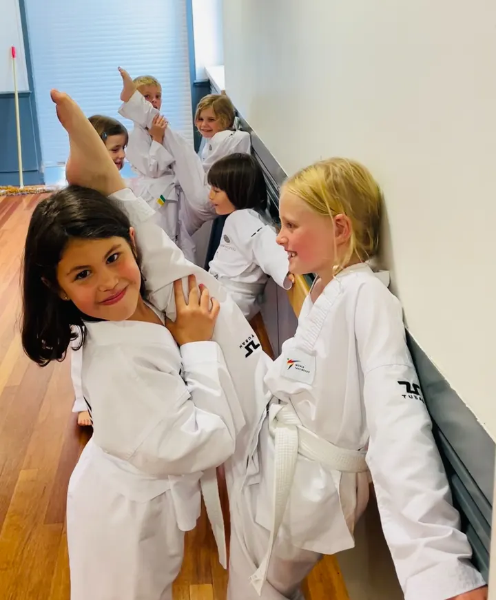 Putney Taekwondo Club — martial arts-studio in Wandsworth, London — 2