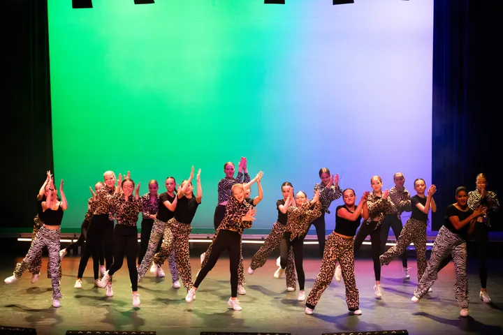 Dansstudio DDC — Dans in De Waluwe, Zaltbommel
