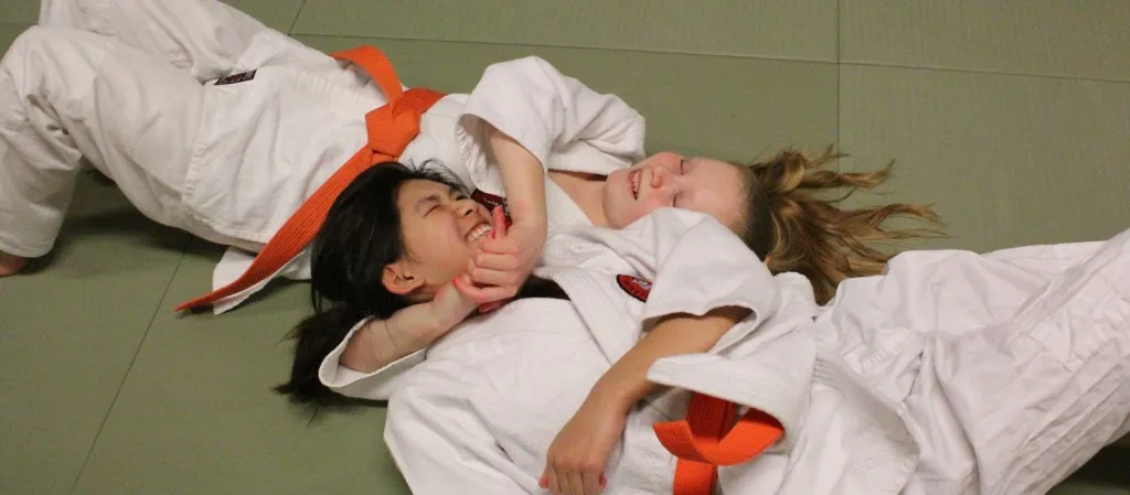 Herning Judo & Jiu-Jitsu Klub — kampsport-studio i Holing, Herning — bild 3