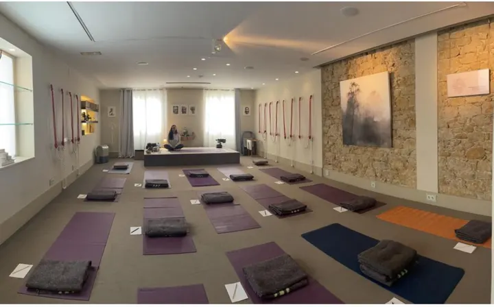 Marina Dharma Yoga — yoga-studio en Oviedo — 3