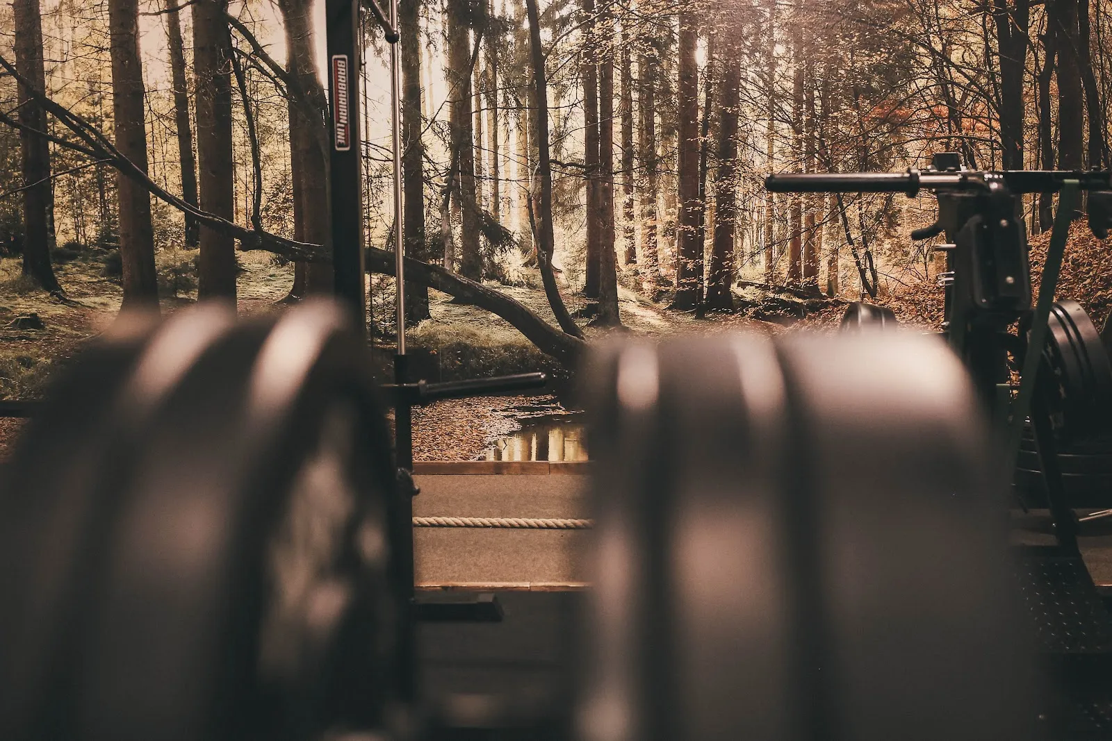 CrossStyle-camp Inh. Tobias Wolf , Scheel — crossfit-studio in Straubing — 4