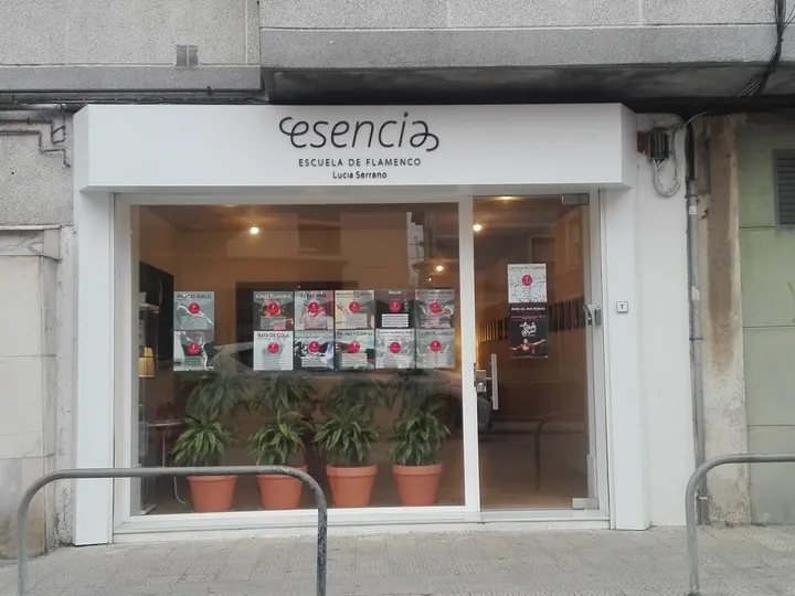 Esencia Escuela De Flamenco — baile-studio en Perines, Santander — 2