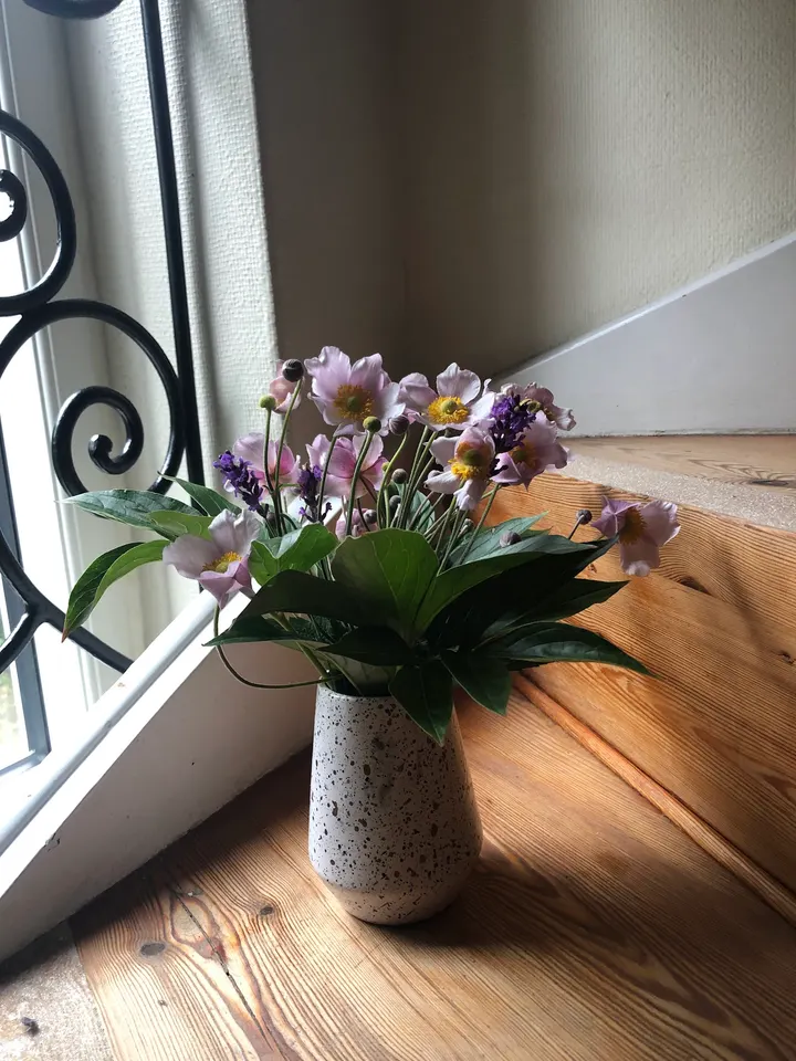 Regina Art & Yoga — yoga-studio i Vanløse, København — 3