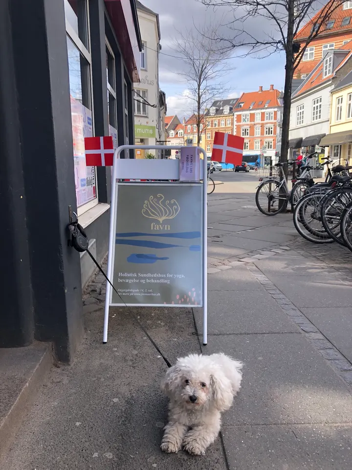 Liv Yoga — yoga-studio i Saralyst, Aarhus C — 3