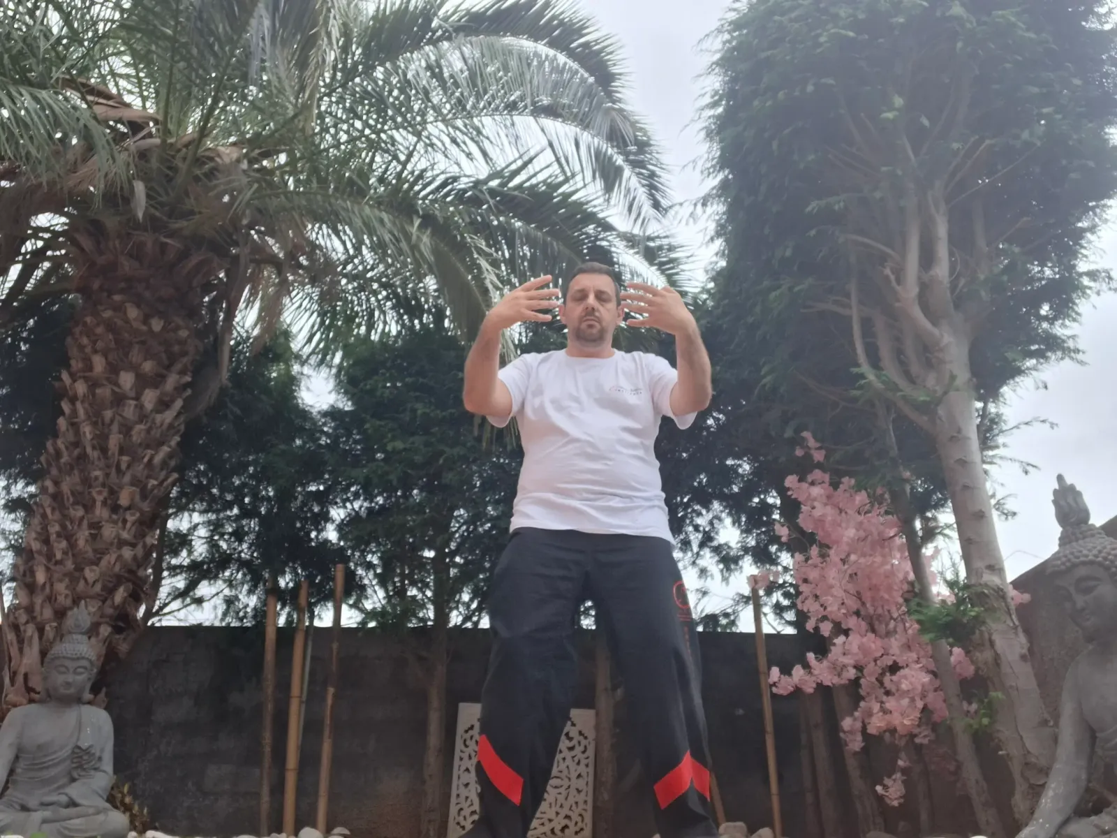 Wing Chun Kung Fu Mallorca A.W.W. Distrito Centro — kampsport-studio i Palma — bild 3