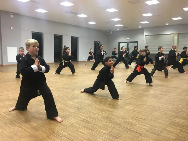 Kampfkunst Akademie Sadeghi Weende / Deppoldshausen — kickboxen-studio in Göttingen — 6