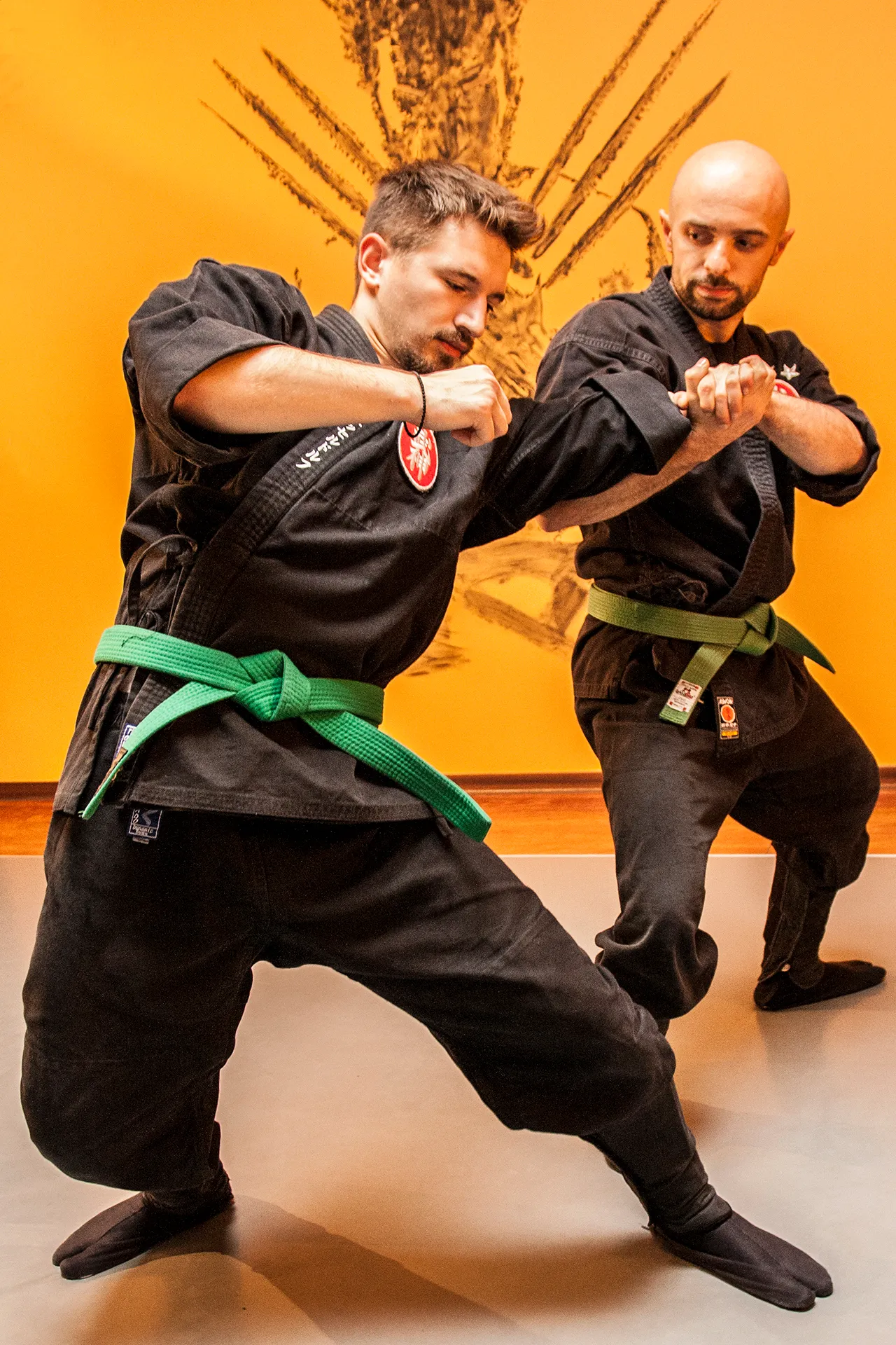Bujinkan Dojo — kampsport-studio i Düsseldorf — 2