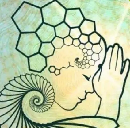 Ilma yoga house — Yoga in Zuidoost, Amsterdam