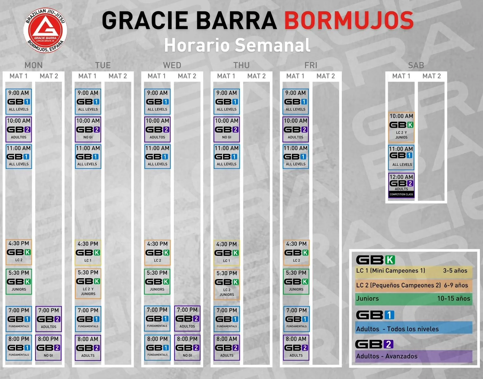 Gracie Barra Bormujos — bjj-studio en Bormujos — 5