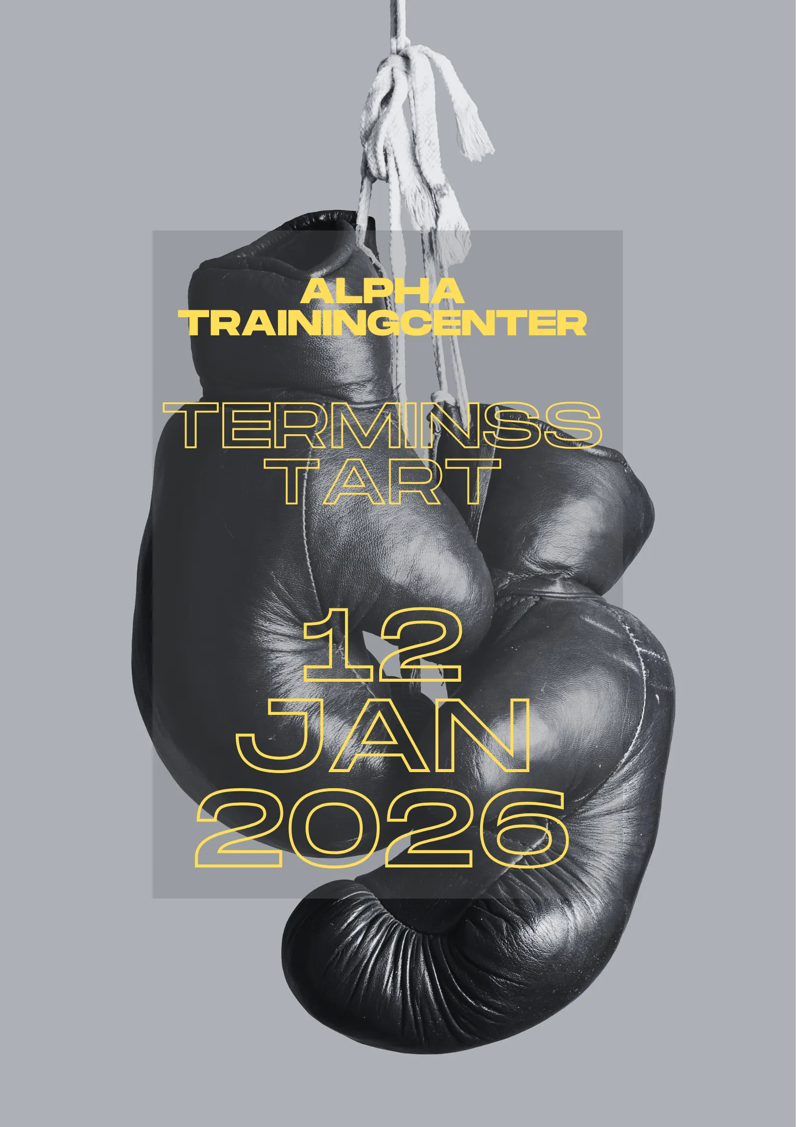 ALPHA Trainingcenter — funktionell träning-studio i Bagarmossen — 3