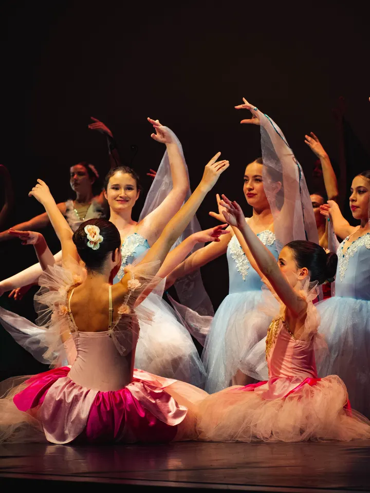 Estudio de Danza Carmen — baile-studio en Granada — 3