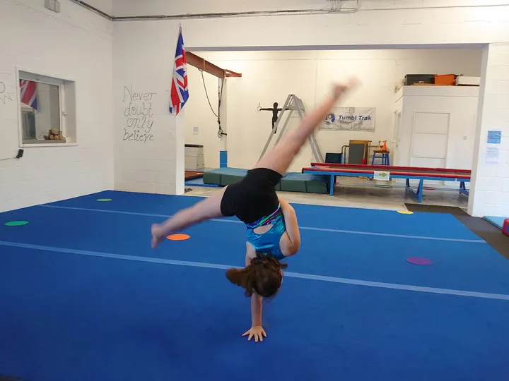 Tumbling Teddies Gymnastics — gymnastics-studio in Underwood, Plymouth — 2