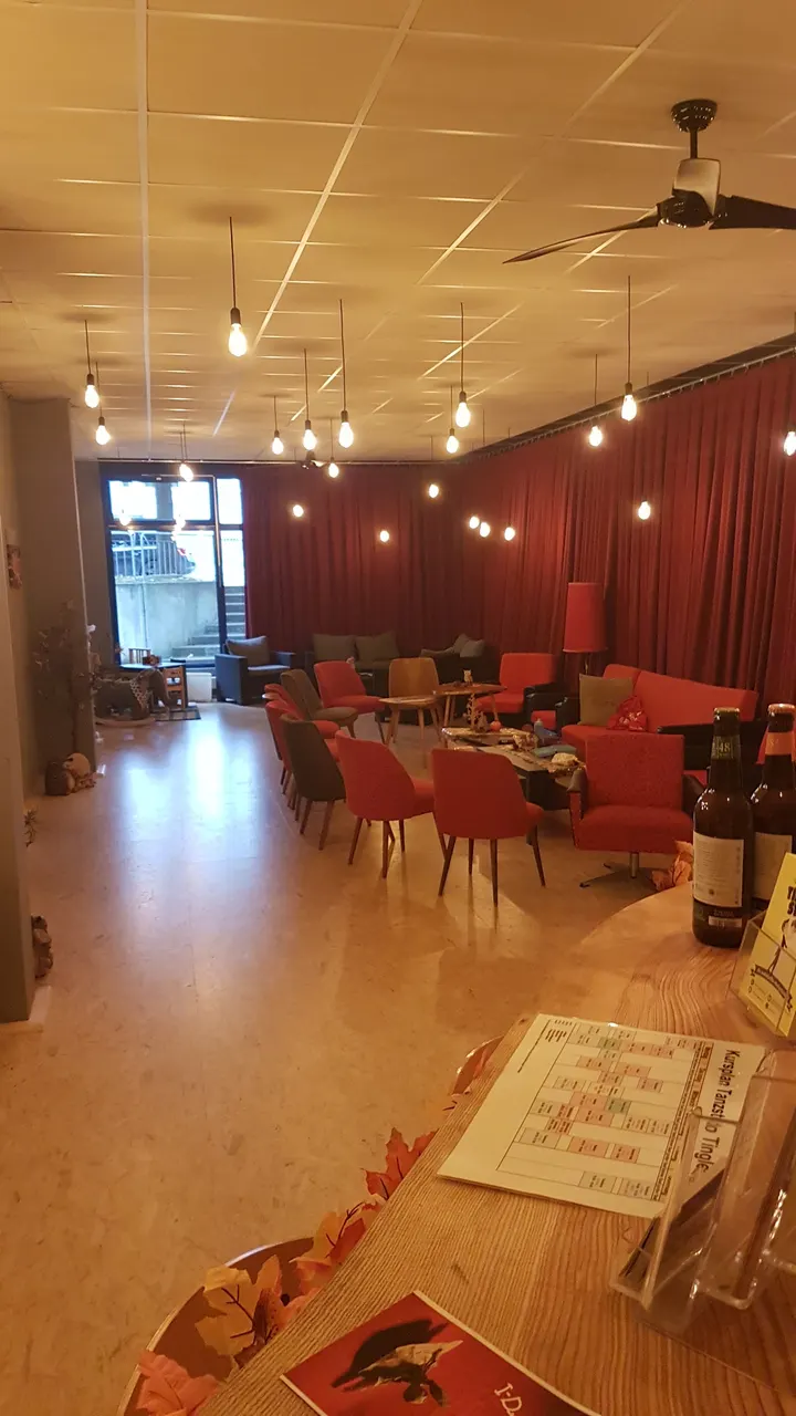 Tanzstudio Tinglestep — tanz-studio in Gablenz, Chemnitz — 3